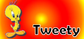 Tweety Bird Jacket